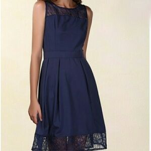 Navy Blue Lace Fit and Flare Dress